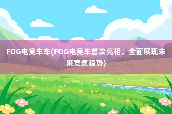 FOG电竞车车(FOG电竞车首次亮相，全面展现未来竞速趋势)