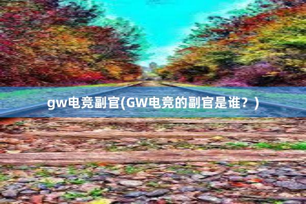 gw电竞副官(GW电竞的副官是谁？)