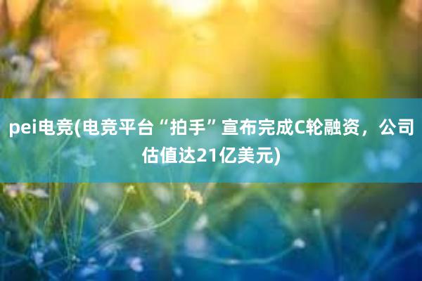 pei电竞(电竞平台“拍手”宣布完成C轮融资，公司估值达21亿美元)