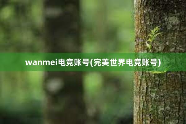 wanmei电竞账号(完美世界电竞账号)