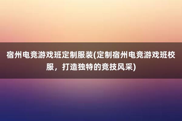 宿州电竞游戏班定制服装(定制宿州电竞游戏班校服，打造独特的竞技风采)