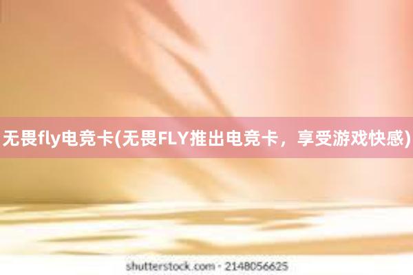 无畏fly电竞卡(无畏FLY推出电竞卡，享受游戏快感)