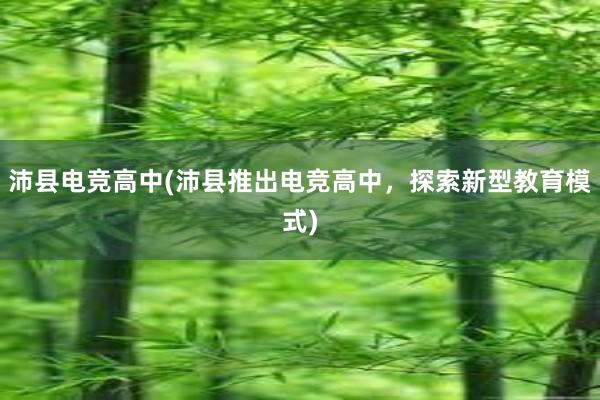 沛县电竞高中(沛县推出电竞高中，探索新型教育模式)