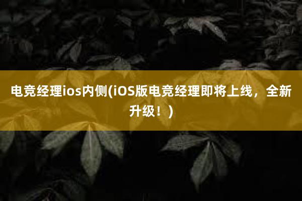 电竞经理ios内侧(iOS版电竞经理即将上线，全新升级！)