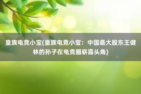 皇族电竞小宝(皇族电竞小宝：中国最大股东王健林的孙子在电竞圈崭露头角)