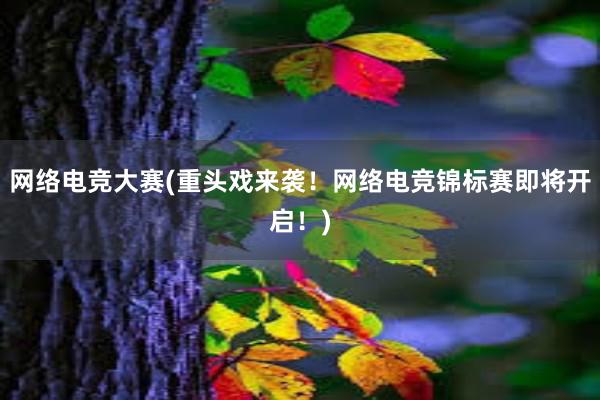 网络电竞大赛(重头戏来袭！网络电竞锦标赛即将开启！)