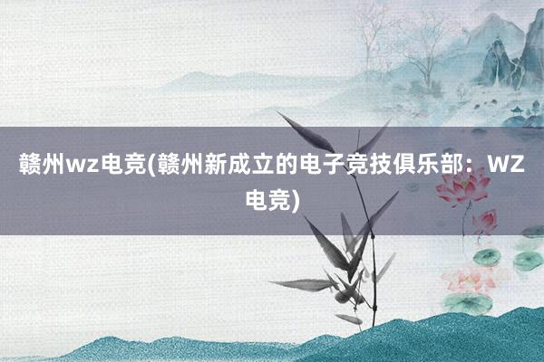 赣州wz电竞(赣州新成立的电子竞技俱乐部：WZ电竞)