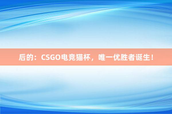 后的：CSGO电竞猫杯，唯一优胜者诞生！