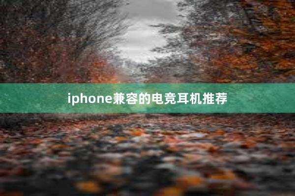 iphone兼容的电竞耳机推荐