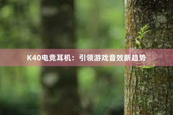 K40电竞耳机：引领游戏音效新趋势