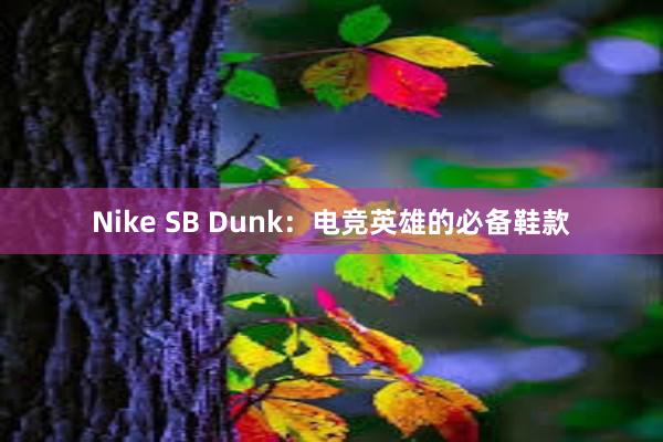 Nike SB Dunk：电竞英雄的必备鞋款