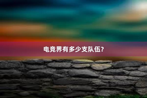 电竞界有多少支队伍？