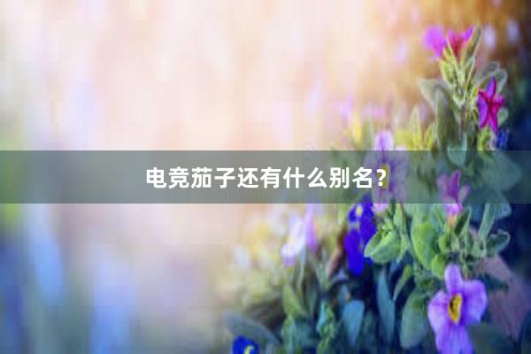 电竞茄子还有什么别名？