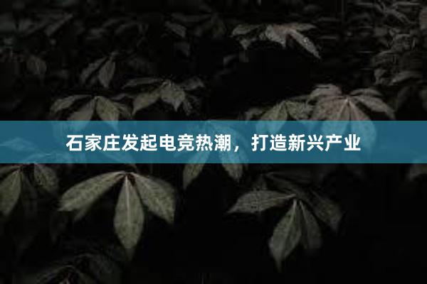 石家庄发起电竞热潮，打造新兴产业