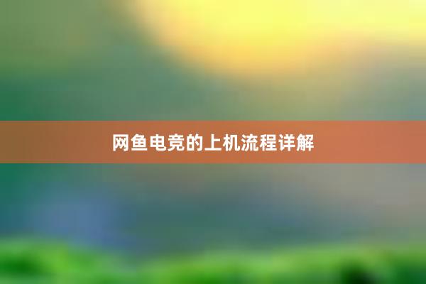 网鱼电竞的上机流程详解