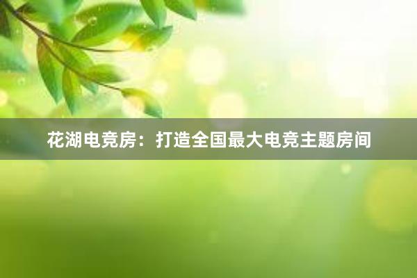 花湖电竞房：打造全国最大电竞主题房间