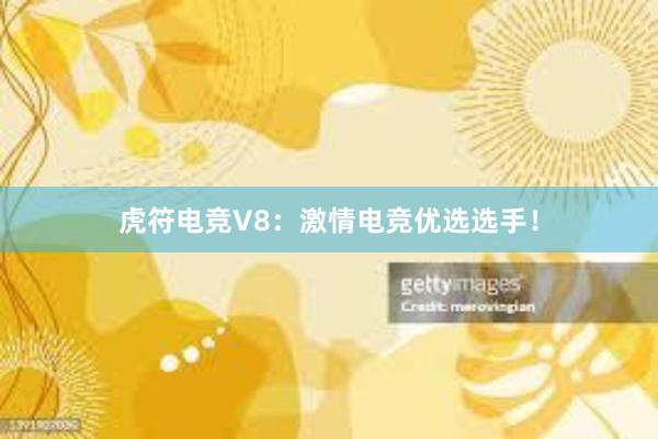 虎符电竞V8：激情电竞优选选手！