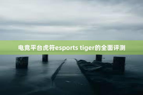 电竞平台虎符esports tiger的全面评测